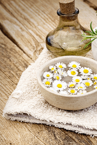 G&auml;nsebl&uuml;mchen in einer Wasserschale